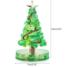 Charger l&#39;image dans la galerie, Magic Growing Christmas Tree
